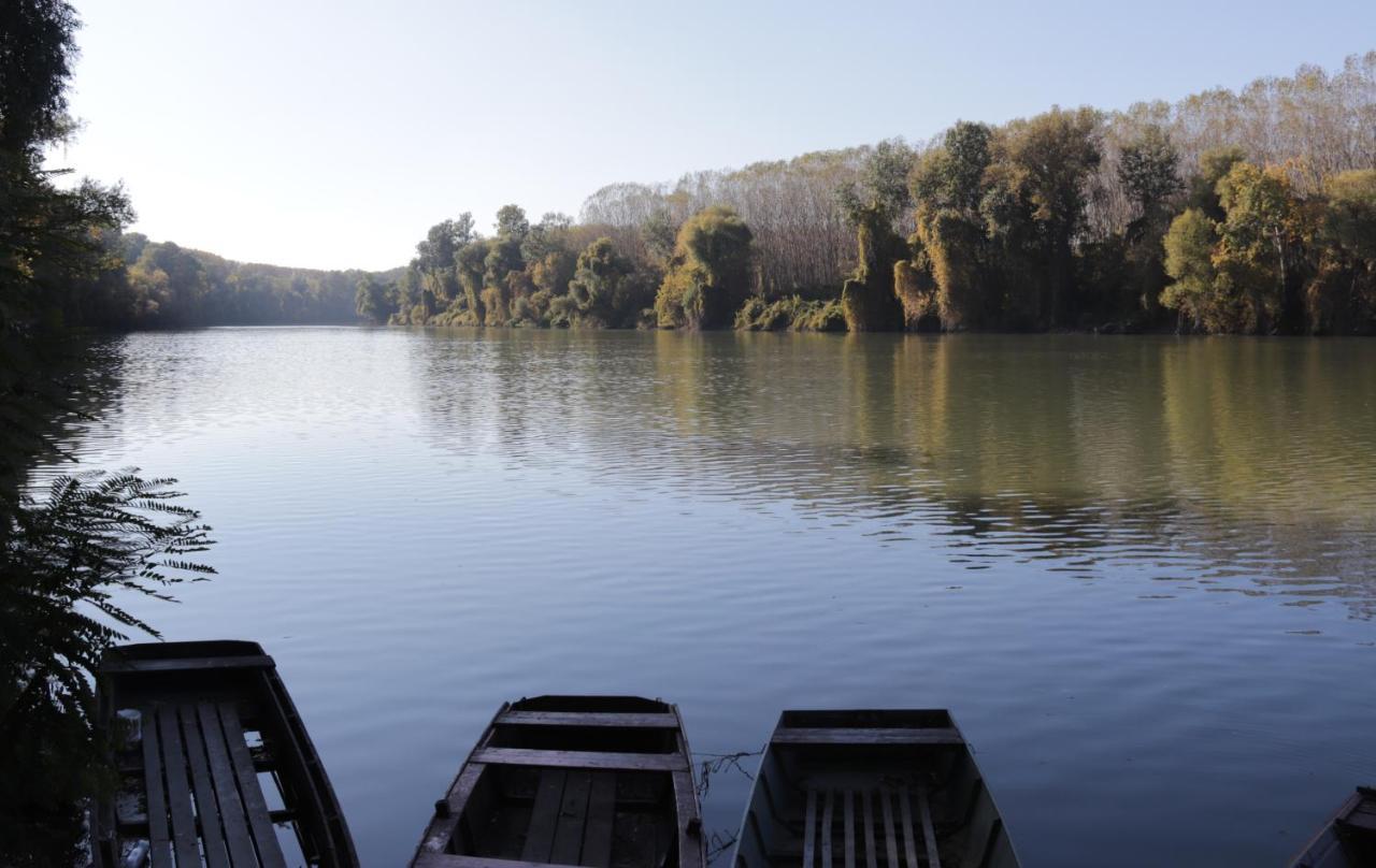 Oeko Kemping Es Glamping Tiszadada Buitenkant foto