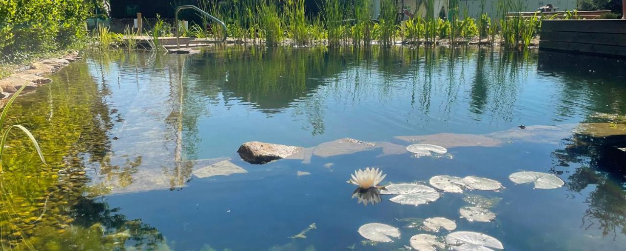 Oeko Kemping Es Glamping Tiszadada Buitenkant foto